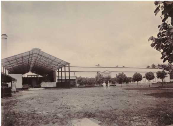 Pabrik Gula Kedawung, 1900